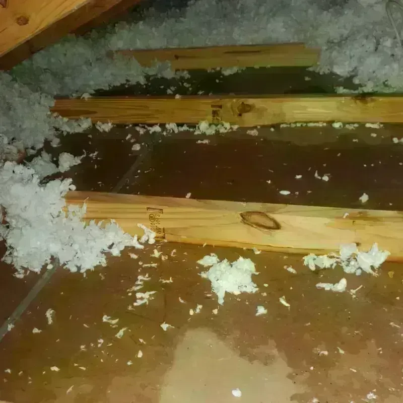 Attic Water Damage in Pleasant Garden, NC